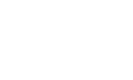 logo Selina